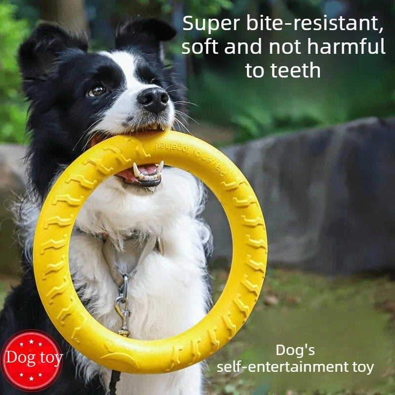FlexFly EVA Dog Disc & Ball Set