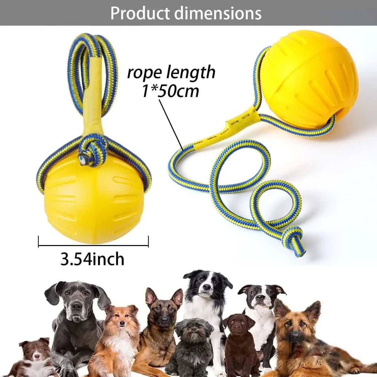 Float & Fetch EVA Ring Ball