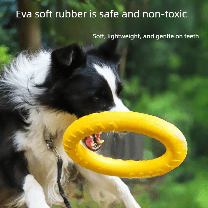 FlexFly EVA Dog Disc & Ball Set