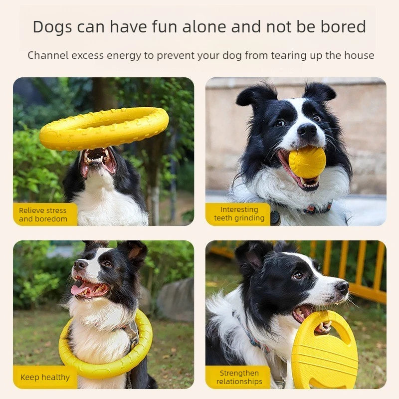 FlexFly EVA Dog Disc & Ball Set