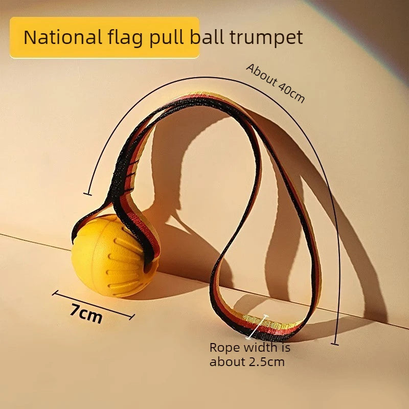 FlexFly EVA Dog Disc & Ball Set