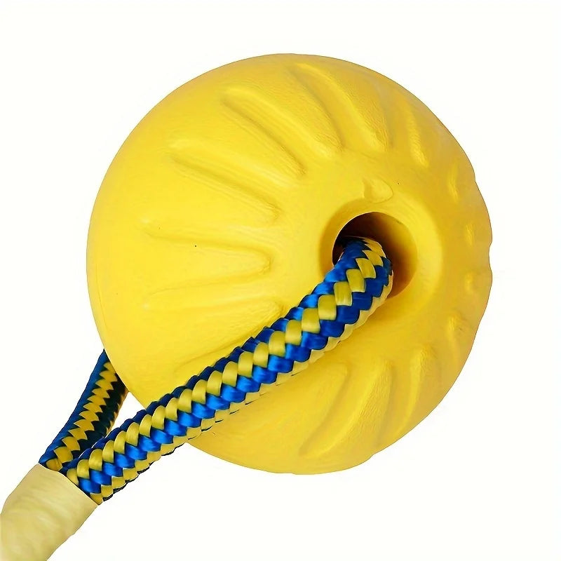 Float & Fetch EVA Ring Ball